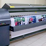 Plants: image 1 0f 4 thumb