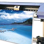 Plants: image 4 0f 4 thumb